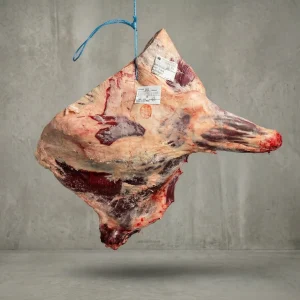 Davanter - Delantero