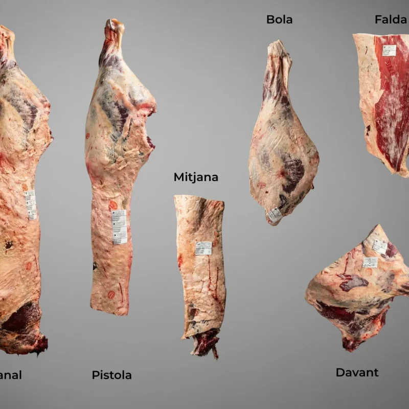 Especejament de vaca Quarts partin de Mitja Canal